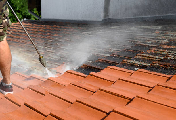 Best Concrete Pressure Washing  in Hilton, NY