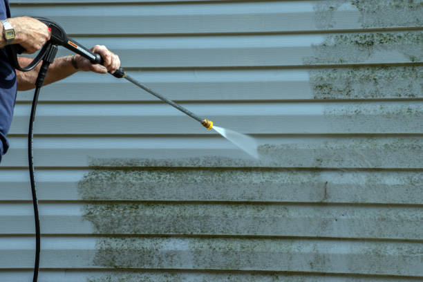 Best Pressure Washing Estimates  in Hilton, NY