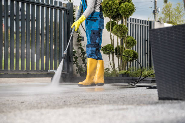 Best Best Pressure Washing Companies  in Hilton, NY